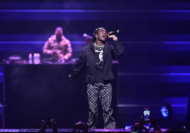 Steven Ferdman/Getty Images