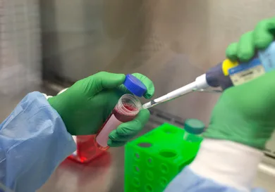 Karen Ducey / Stringer / Getty Images