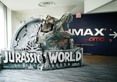 Lars Niki/Getty Images for IMAX