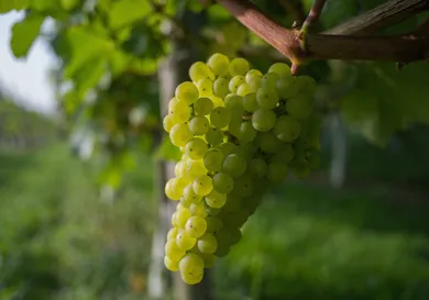 Ian Forsyth/Getty Images