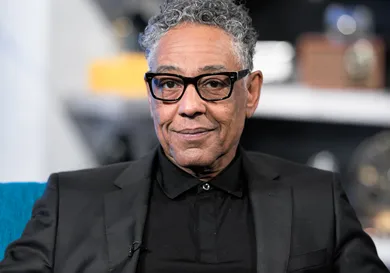 Rich Polk/Getty Images for IMDb