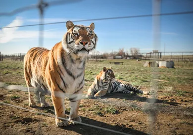 Marc Piscotty/Getty Images