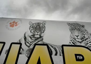 Helen H. Richardson/MediaNews Group/The Denver Post via Getty Images / Contributor / Getty Images