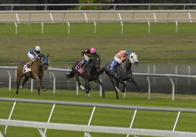 A. Messerschmidt/Getty Images