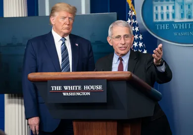 Sarah Silbiger/Getty Images