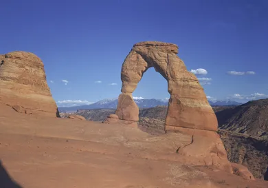 Harvey Meston/Getty Images