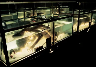 FOX via Getty Images