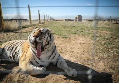 Marc Piscotty/Getty Images