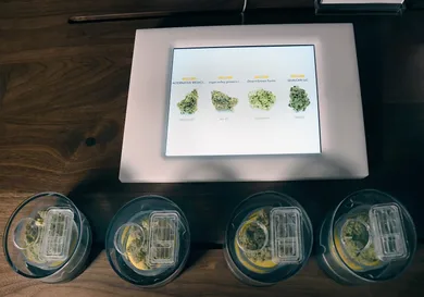 Bryan Steffy/Getty Images for MedMen