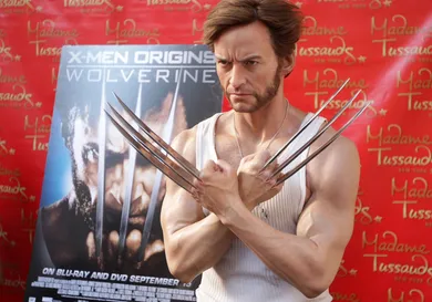 (Stephen Lovekin/Getty Images)