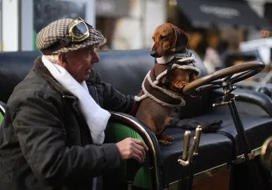 Dan Kitwood/Getty Images