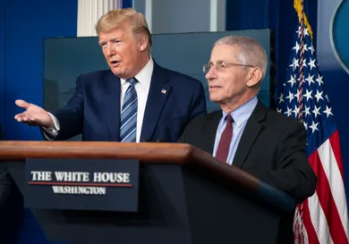 Sarah Silbiger/Getty Images)