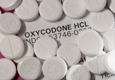 Education Images/UIG via Getty Images