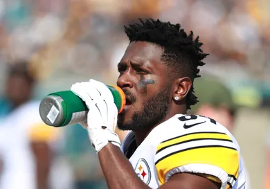 Scott Halleran / Getty Images