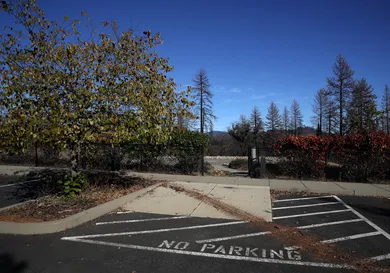 Justin Sullivan/Getty Images