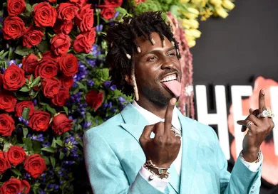 Steven Ferdman/Getty Images