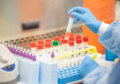 Andrew Theodorakis/ Getty Images