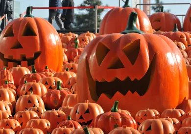 VCG/VCG via Getty Images