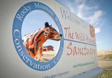 Marc Piscotty/Getty Images