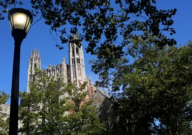 Yana Paskova/Getty Images