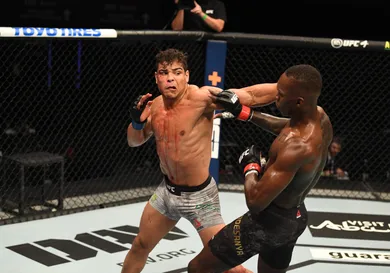 Josh Hedges/Zuffa LLC via Getty Images