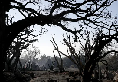 Justin Sullivan/Getty Images