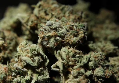 Justin Sullivan/Getty Images