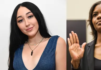 Frazer Harrison/Getty Images,  Zach Gibson/Getty Images