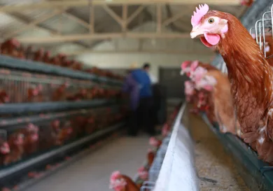 Getty Images/Getty Images for EIF & XQ