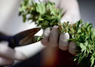 Uriel Sinai/Getty Images