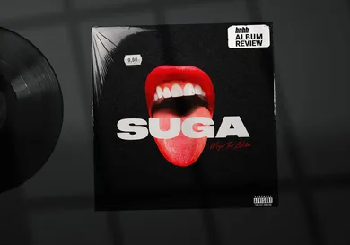 Via 1501 Ent/300 Ent/HNHH