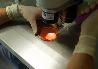 BSIP/Universal Images Group/Getty Images