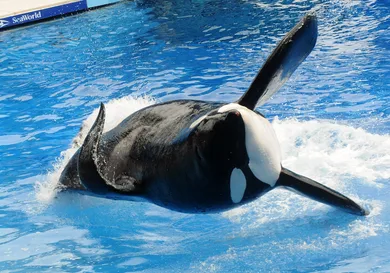 Gerardo Mora/Getty Images