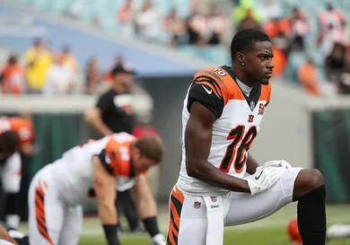 Logan Bowles/Getty Images