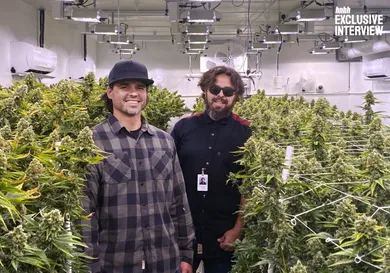 Image provided to HNHH by Wonderbrett