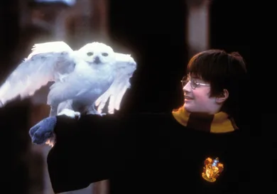 Peter Mountain/WireImage/Getty