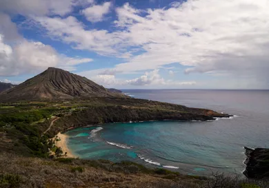 Kent Nishimura / Getty Images