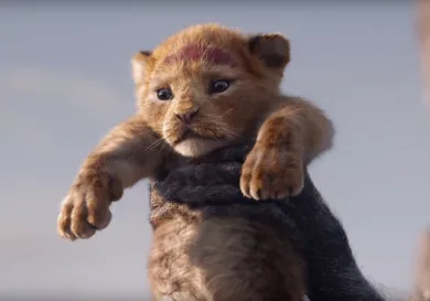 screen cap from Video