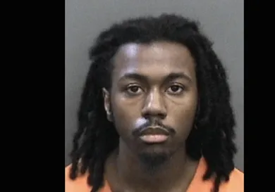 Image via Hillsborough County Sheriff's Office/HNHH