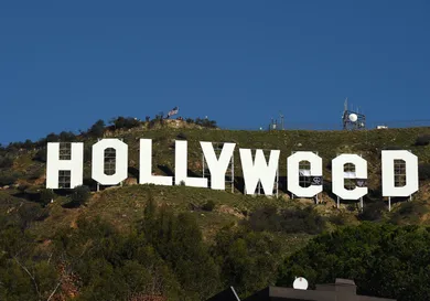 Axelle/Bauer-Griffin/Getty Images