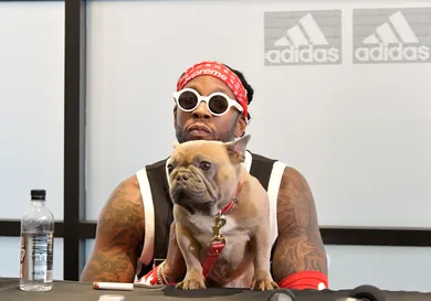 Neilson Barnard/Getty Images for adidas