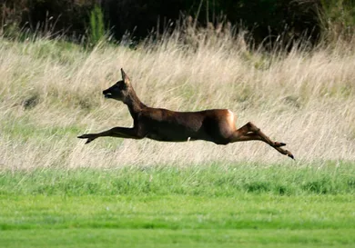 Jamie Squire/Getty Images