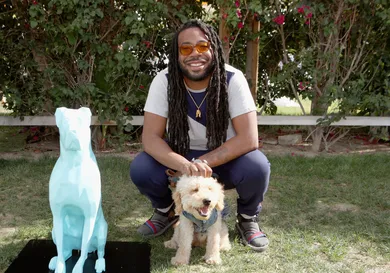 Ari Perilstein/ Getty Images