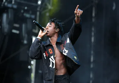 Tim P. Whitby/Getty Images