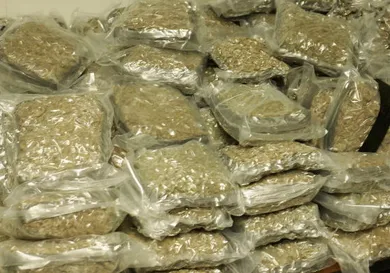 Mark Renders/Getty Images