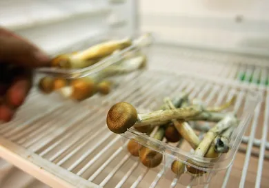 Daniel Berehulak/Getty Images