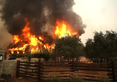 Justin Sullivan / Getty Images