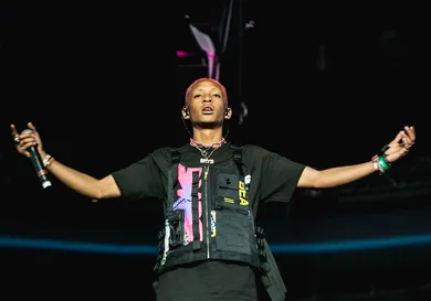 Natt Lim/Getty Images for Coachella