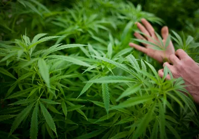 Uriel Sinai/Getty Images