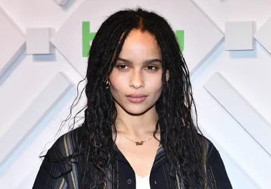 Slaven Vlasic/Getty Images